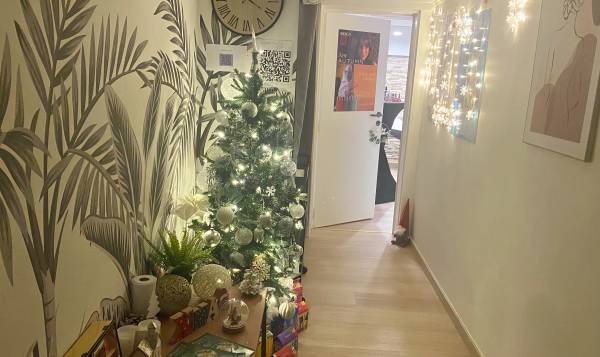 Morgane’ s Institute 