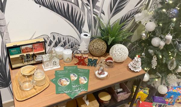 Morgane’ s Institute 