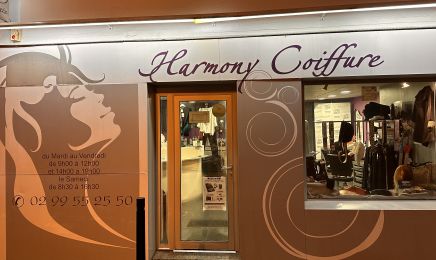 Harmony coiffure : Coiffeur à Saint-Aubin-d'Aubigné
