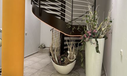 Hairstylistin Susann Fincke: Friseur in Halle (Saale)