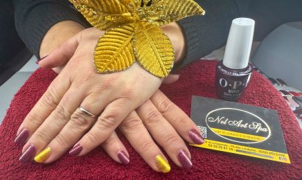Nel Art Spa : Manucure à Melesse