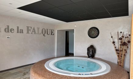 Chateau de la Falque : Institut de beauté à St Geniez d'Olt et d'Aubrac