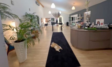 Diego Vulpetti - Hairstylist - Friseur: Friseur in Bad Vilbel