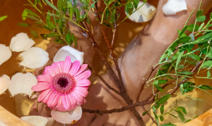 Zenya SPA : Manucure à Suresnes