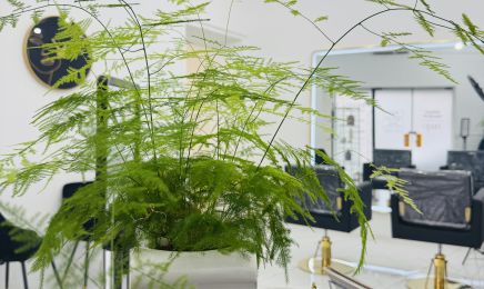 VS Prestige Institut  : Coiffeur à Nimes