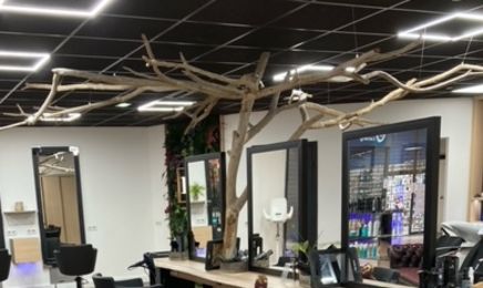 LV coiffure : Coiffeur à Yvetot