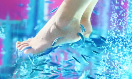 Miyabi Institut - Headspa & Fishspa : Réflexologue à Rennes