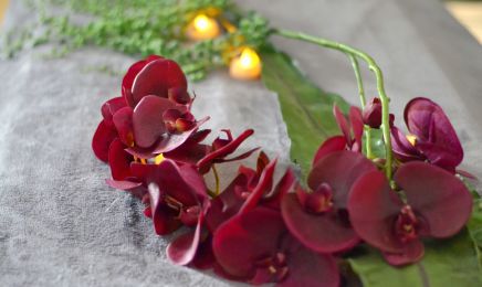 Jade spa : Institut de beauté à Bretteville-sur-Laize