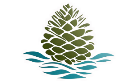 Zenya SPA : Manucure à Suresnes