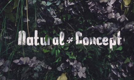 Natural Concept : Coiffeur à Strasbourg