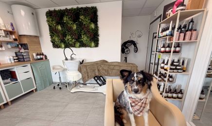 Nomad'Hair By Mae : Coiffeur à Nangy 