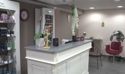 Terre de Couleurs : Coiffeur à Saint-Joachim