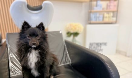 Bella.C Coiffure : Coiffeur à Reims