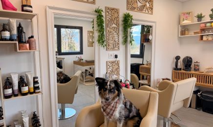 Nomad'Hair By Mae : Coiffeur à Nangy 