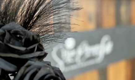 Me Hair & Beauty Salon by Su: Friseur in Aschaffenburg