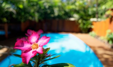 Au jardin des colibris - Spa Ô Nid Douillet : Institut de beauté à Deshaies