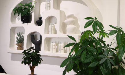 Aikō Curly Care : Coiffeur à Bruxelles