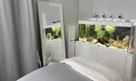 Prettymycecils : Institut de beauté à Le Blanc-Mesnil