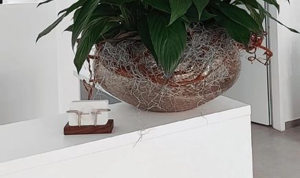 Wellness Quelle: Kosmetikstudio in Bietigheim-Bissingen