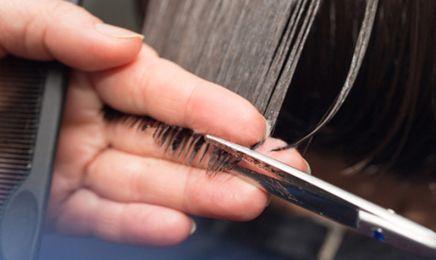 Vegetal Color : Coiffeur à Lavaur