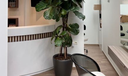 Stephane Cormerais Coiffure  : Coiffeur à Aix-les-Bains