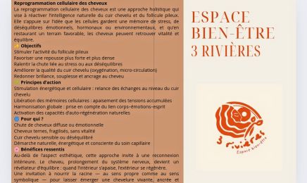 Espace co working bien etre des 3 rivières  : Coiffeur à Grand-Fougeray