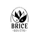 Brice