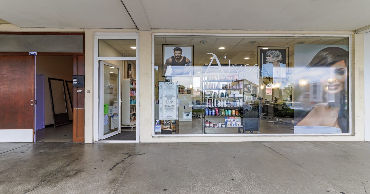 A’lyss coiffure coiffeur à SaintApollinaire Planity