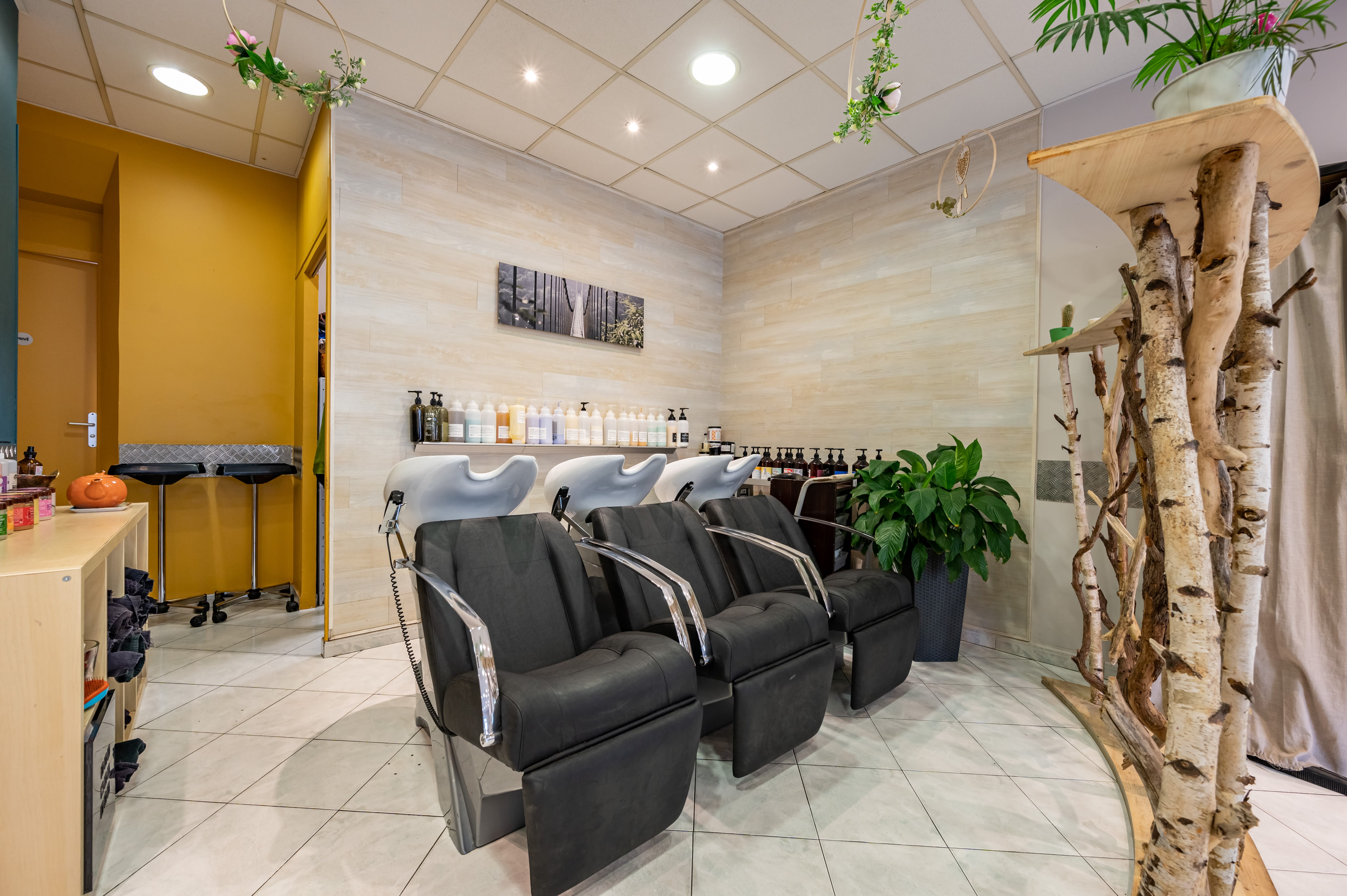 Esteban Coiffure - Coiffure Le Golfe Juan - Esteban Coiffure - Photo Galerie - OneBooking