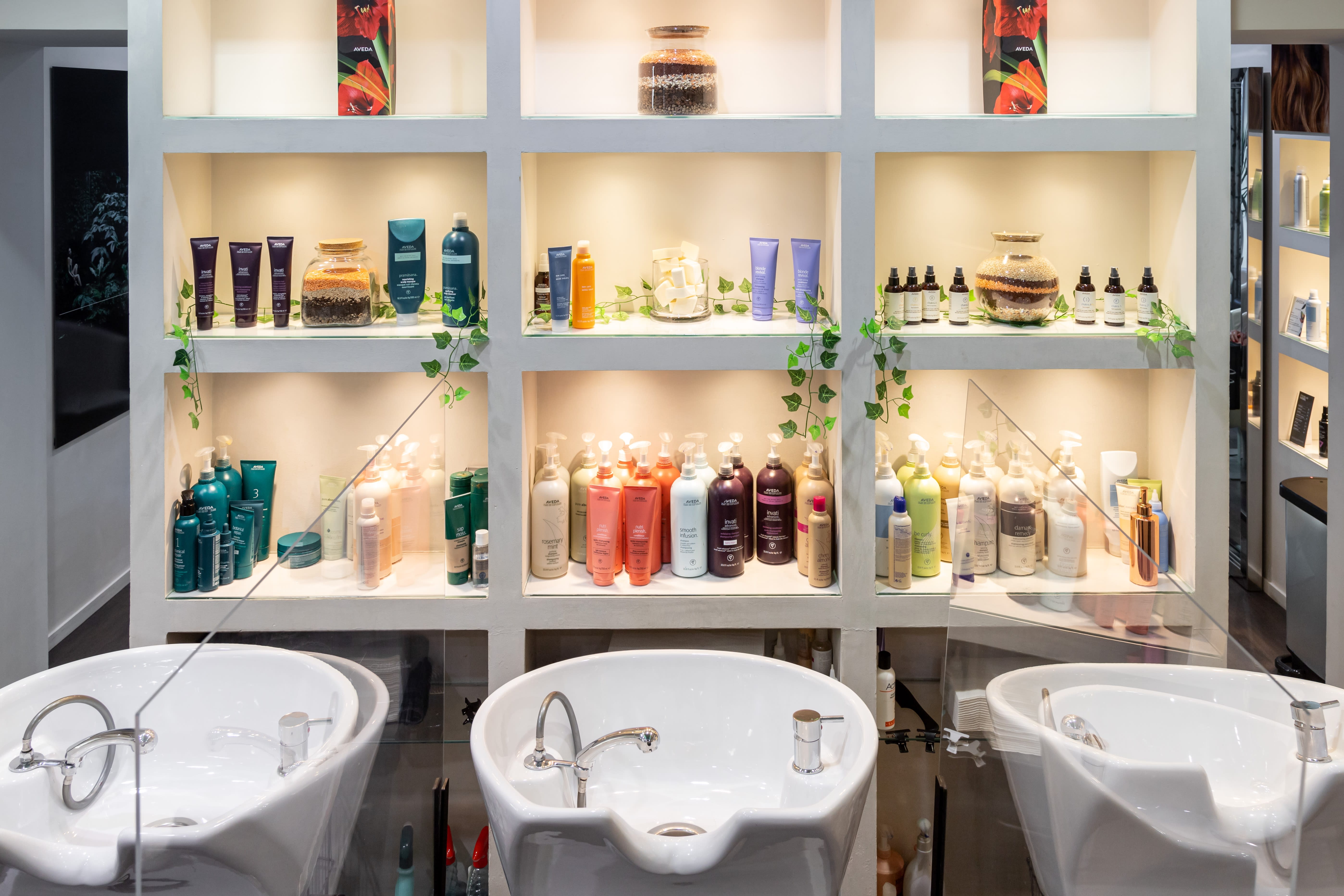 Anne Caprini AVEDA - Coiffure Avignon - Anne Caprini AVEDA - Photo Galerie - OneBooking