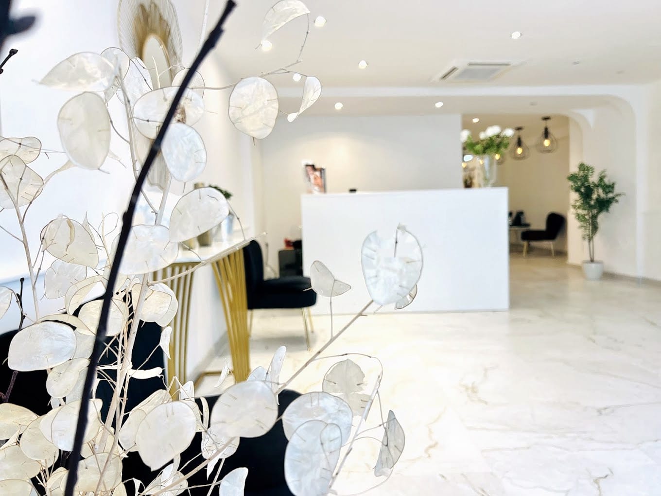 Triaire Institut (Chez Purderma)