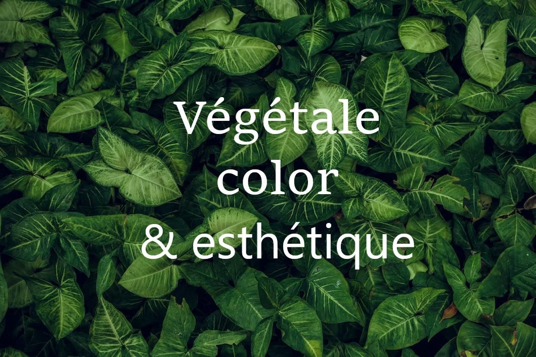 Végétale Color et Esthétique