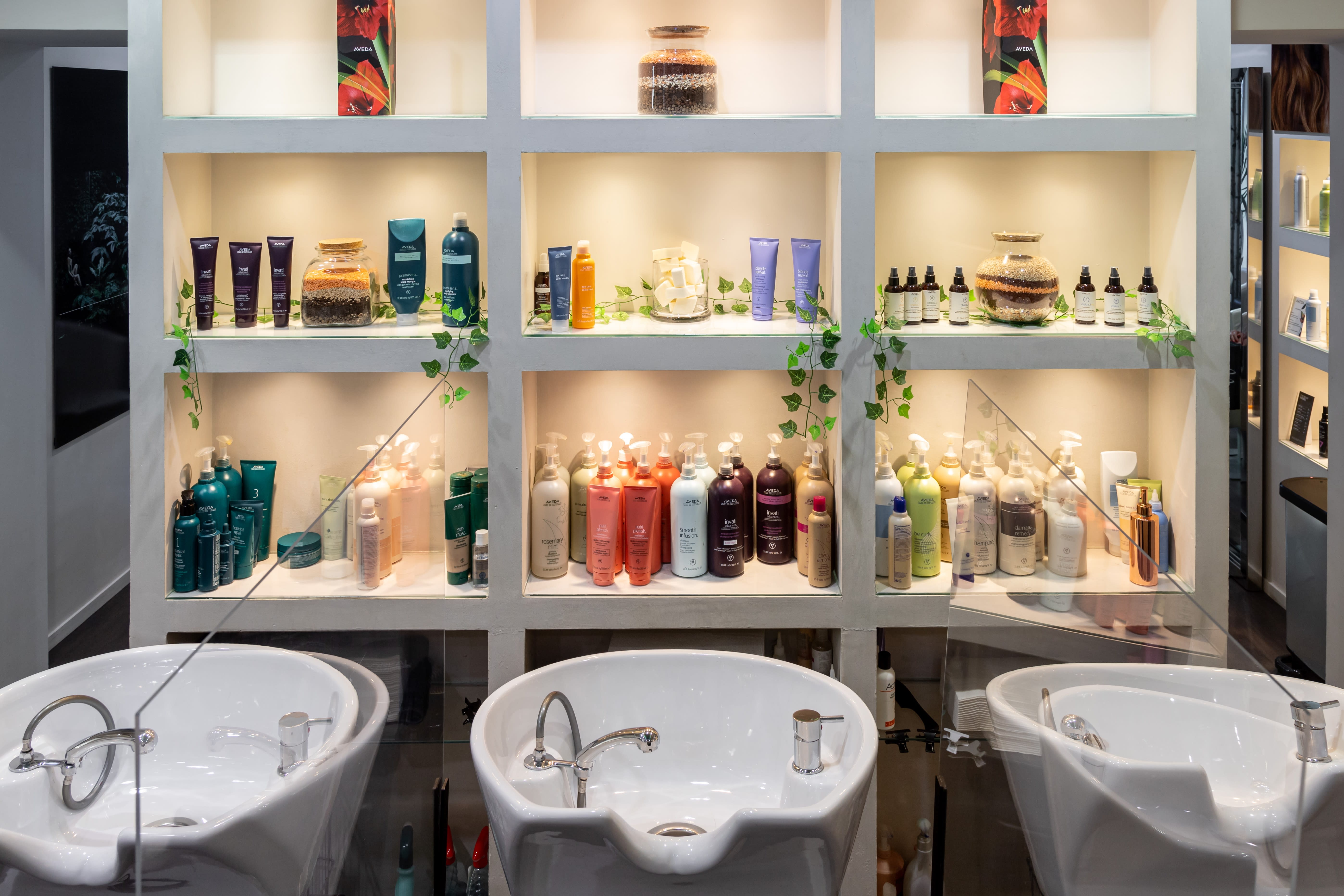 Anne Caprini AVEDA - Coiffure Avignon - Anne Caprini AVEDA - Photo Galerie - OneBooking