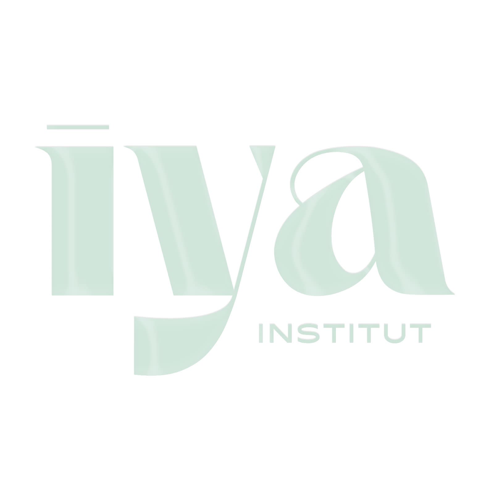 IYA institut