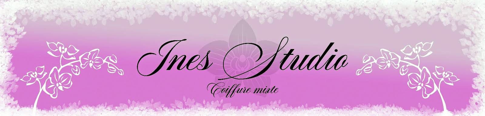 Ines Studio