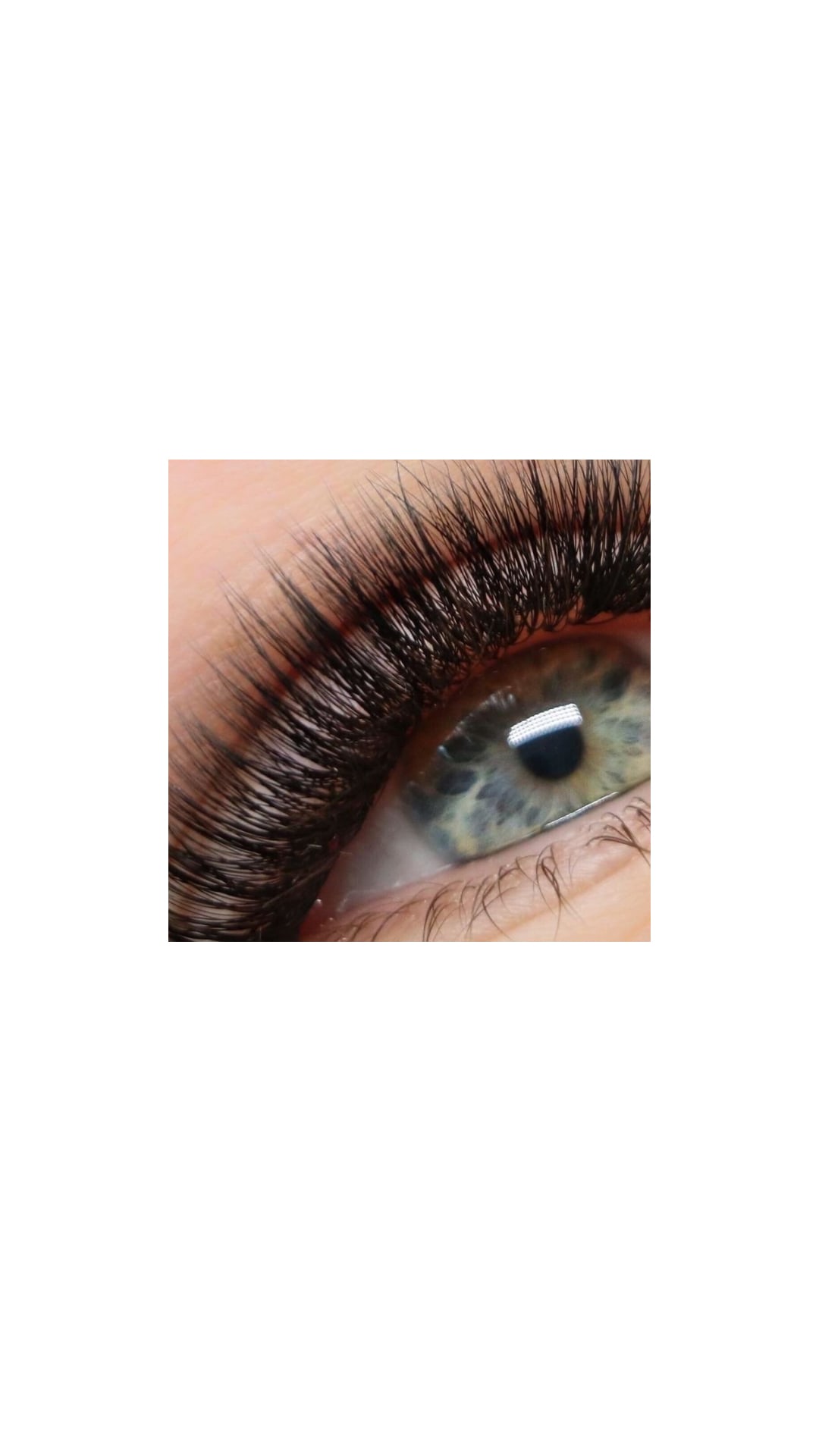 Lashes.lvg