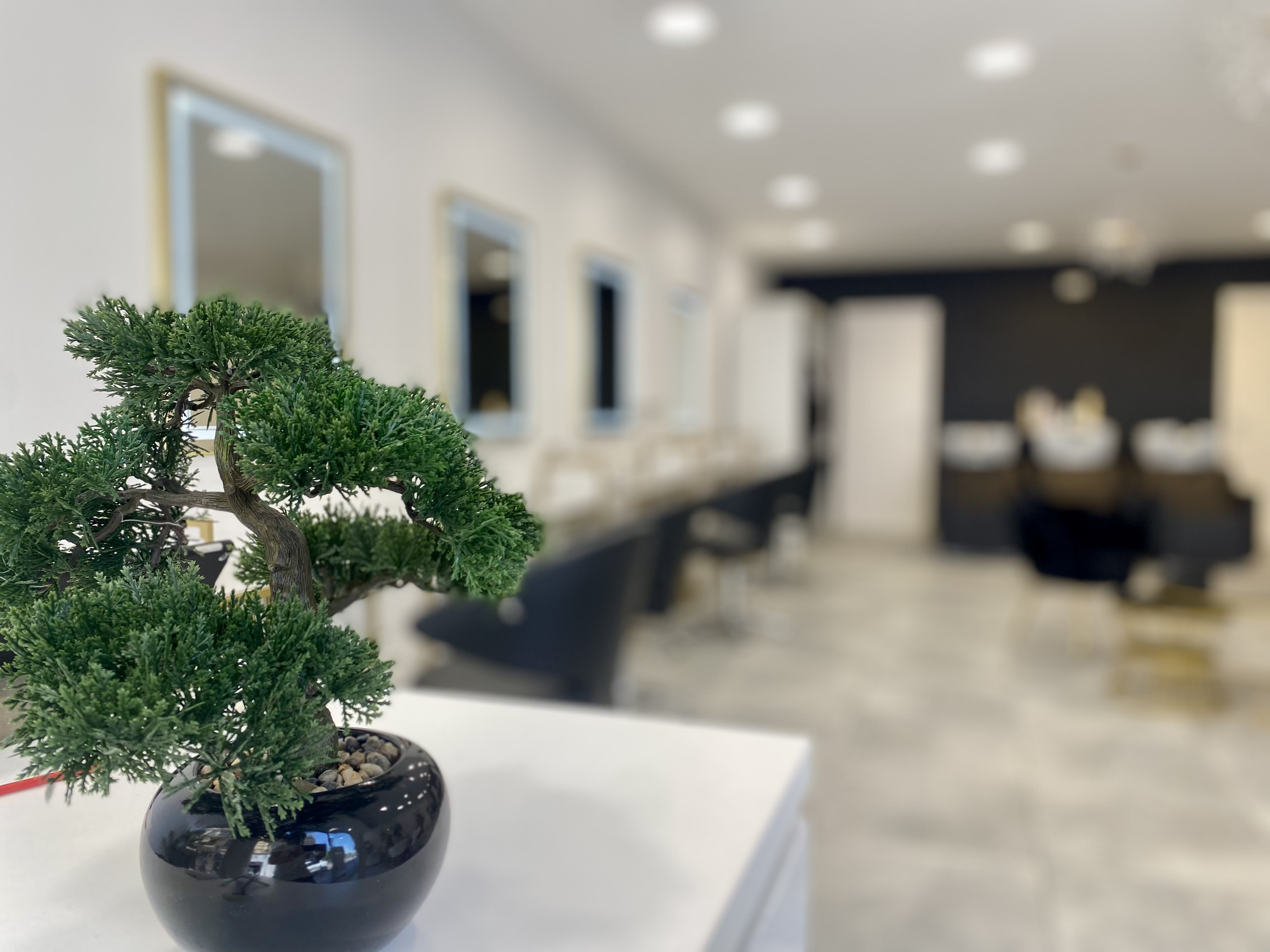 SYA Coiffure x SAMED AYDOGAN - Institut de beauté Cannes - SYA Coiffure x SAMED AYDOGAN - Photo Galerie - OneBooking