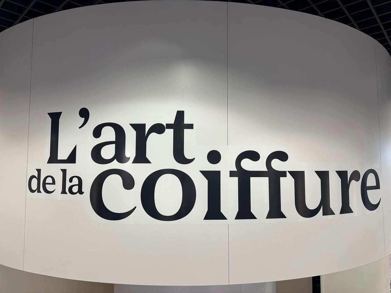 L’art De La Coiffure