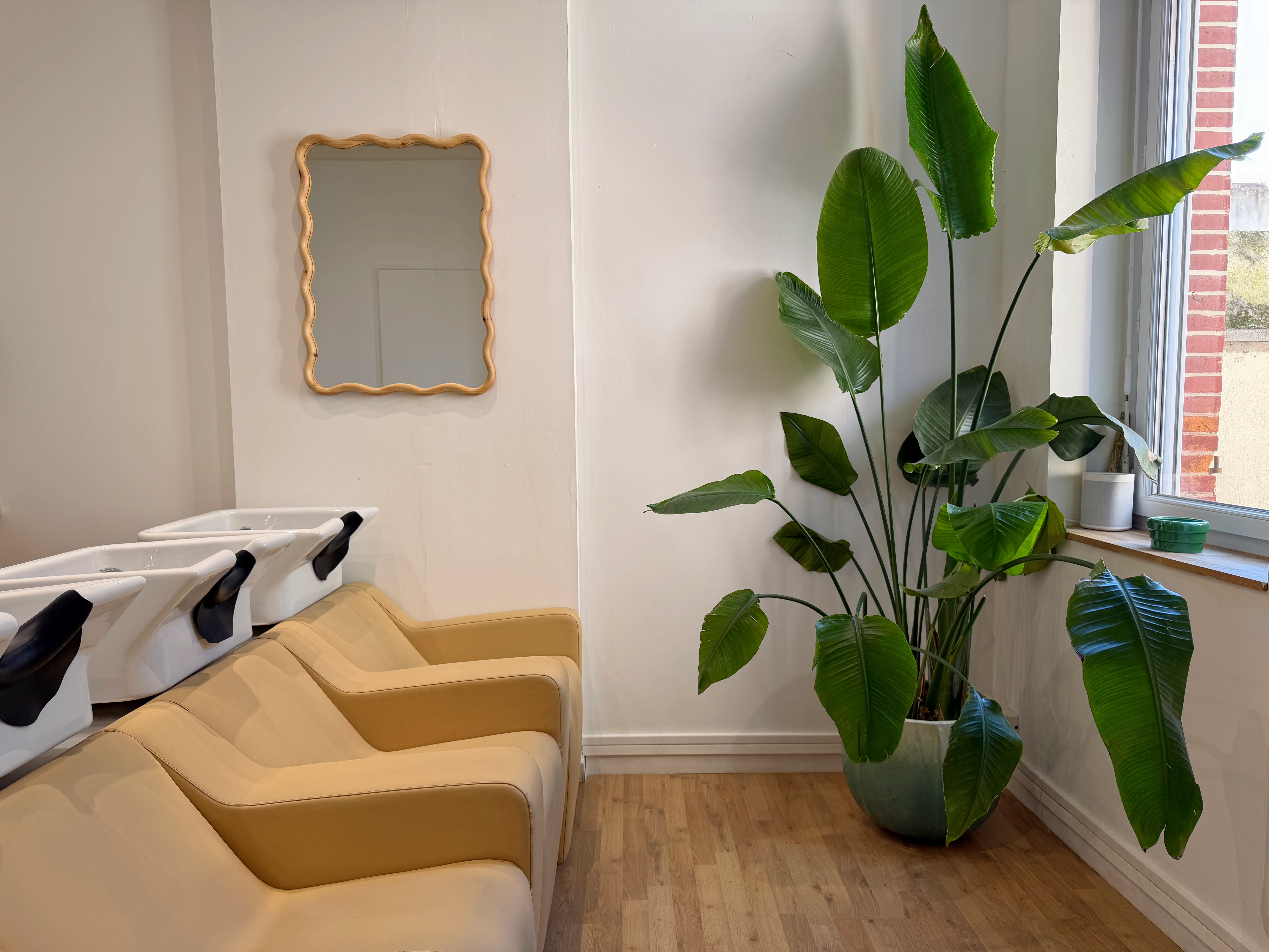 MAISON SAMAIN - Coiffure Toulouse - MAISON SAMAIN - Photo Galerie - OneBooking