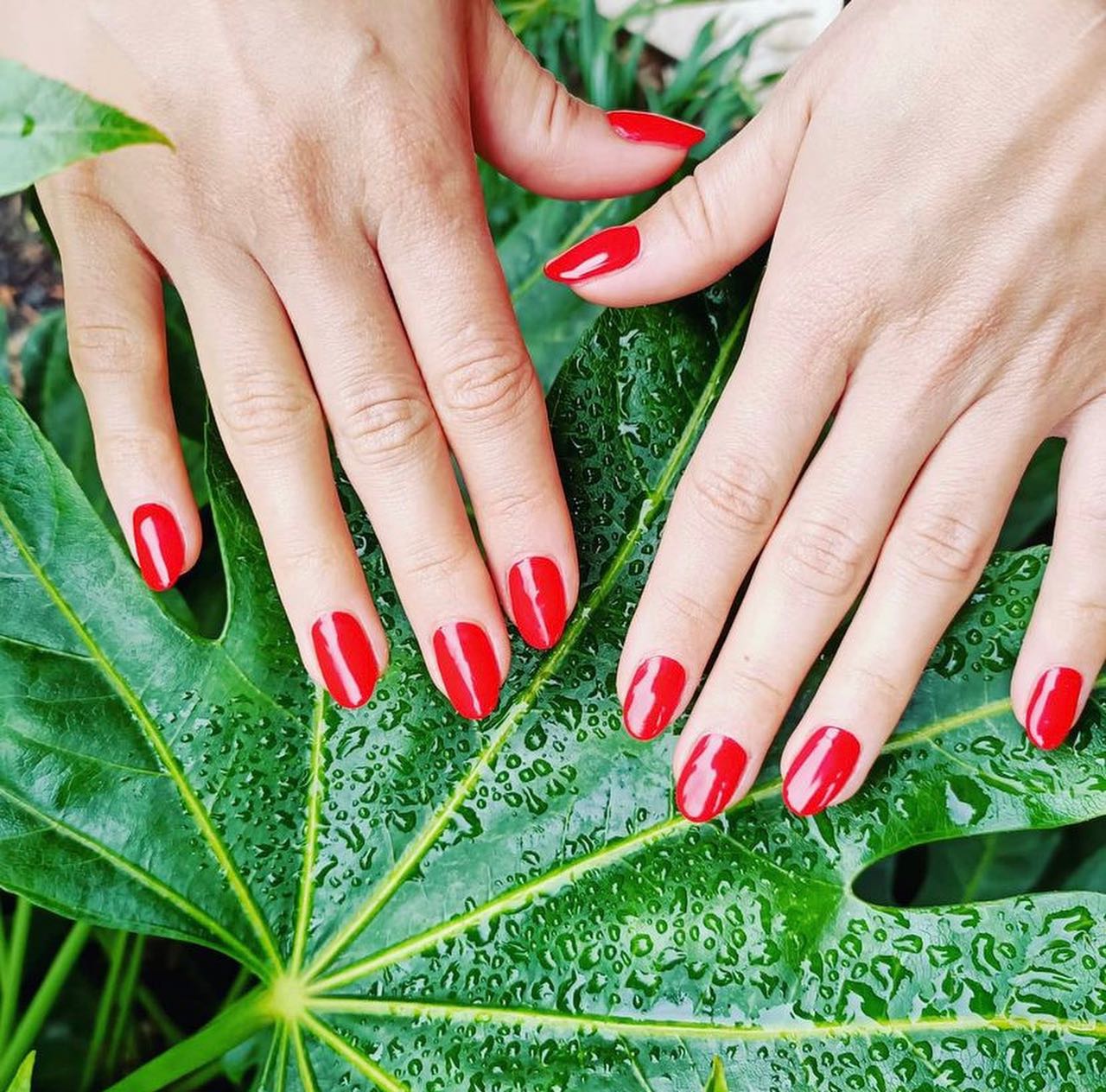 Julie Nail Artist