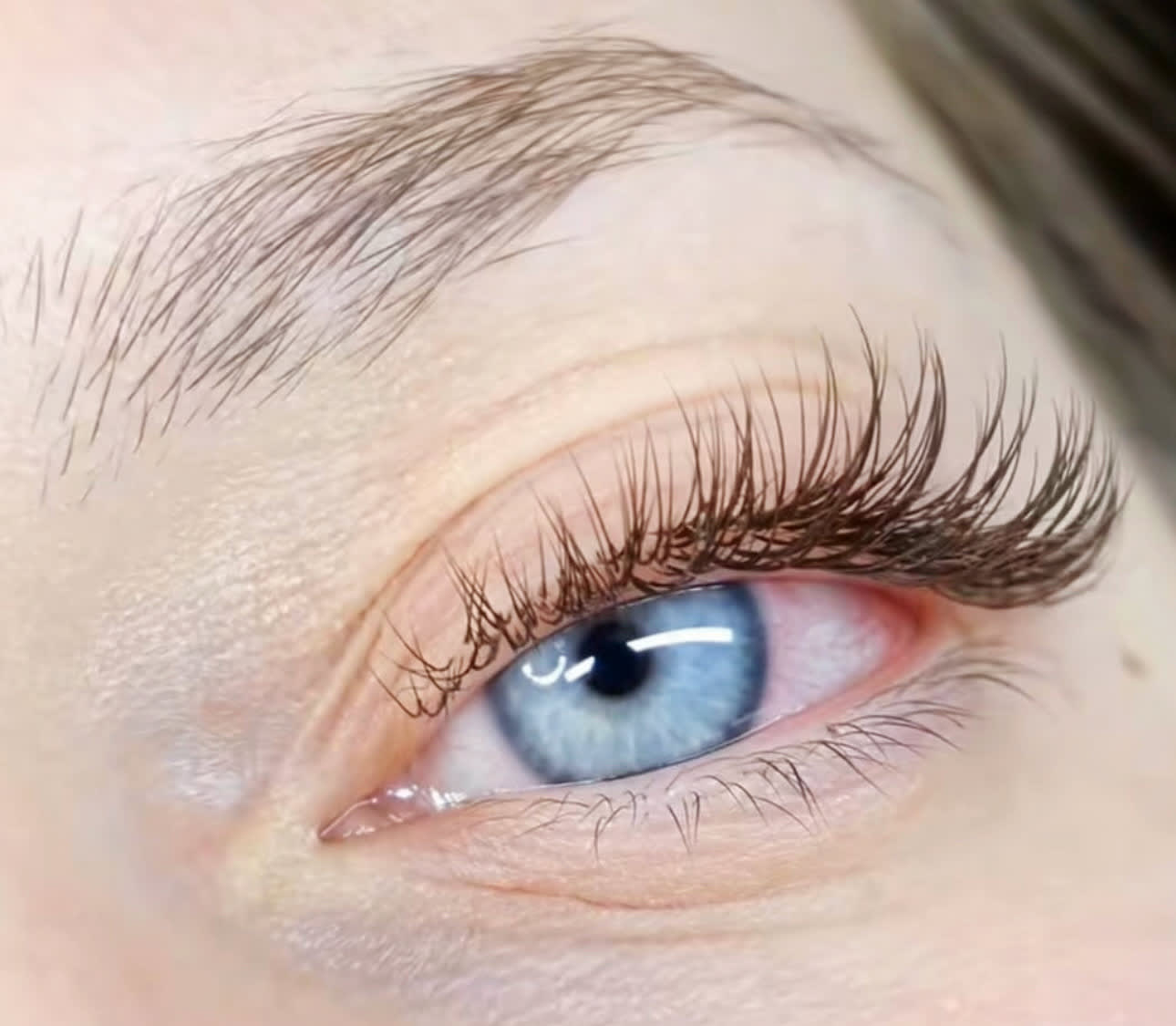 Céleste Beauté - Sourcils & cils Nice - Photo de couverture - OneBooking