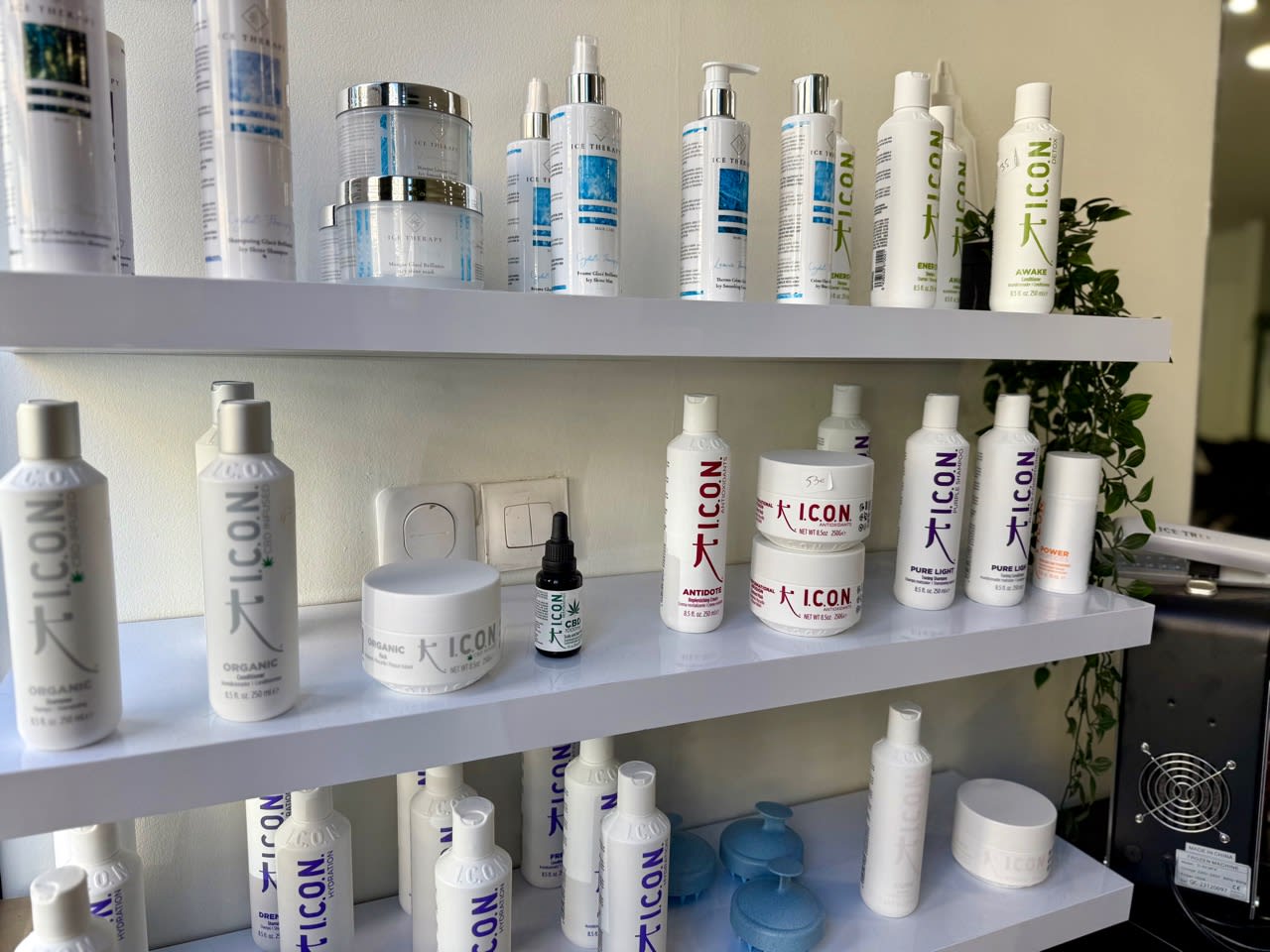Studio MN - Coiffure Nice - Studio MN - Photo Galerie - OneBooking
