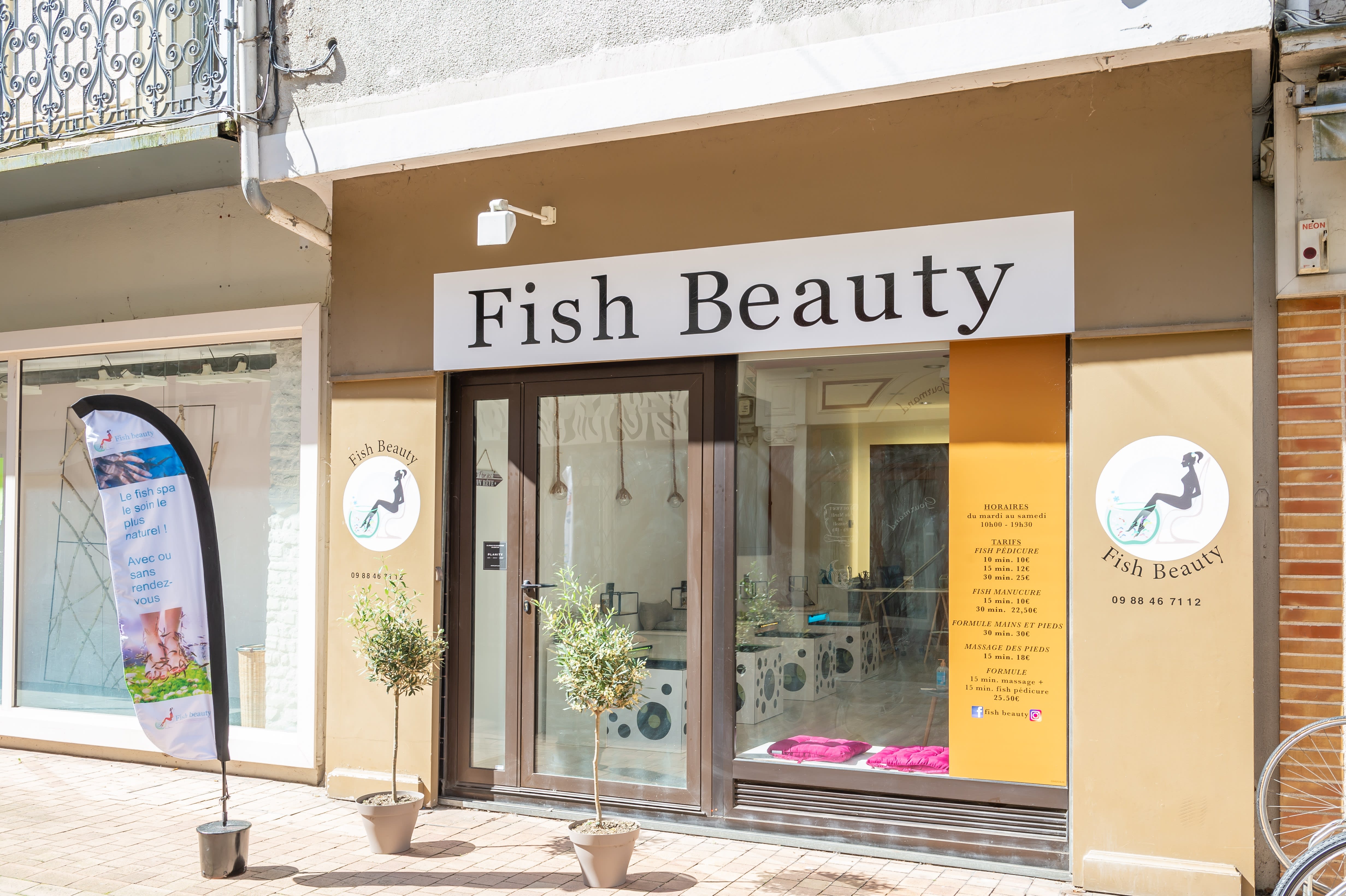 fish beauty