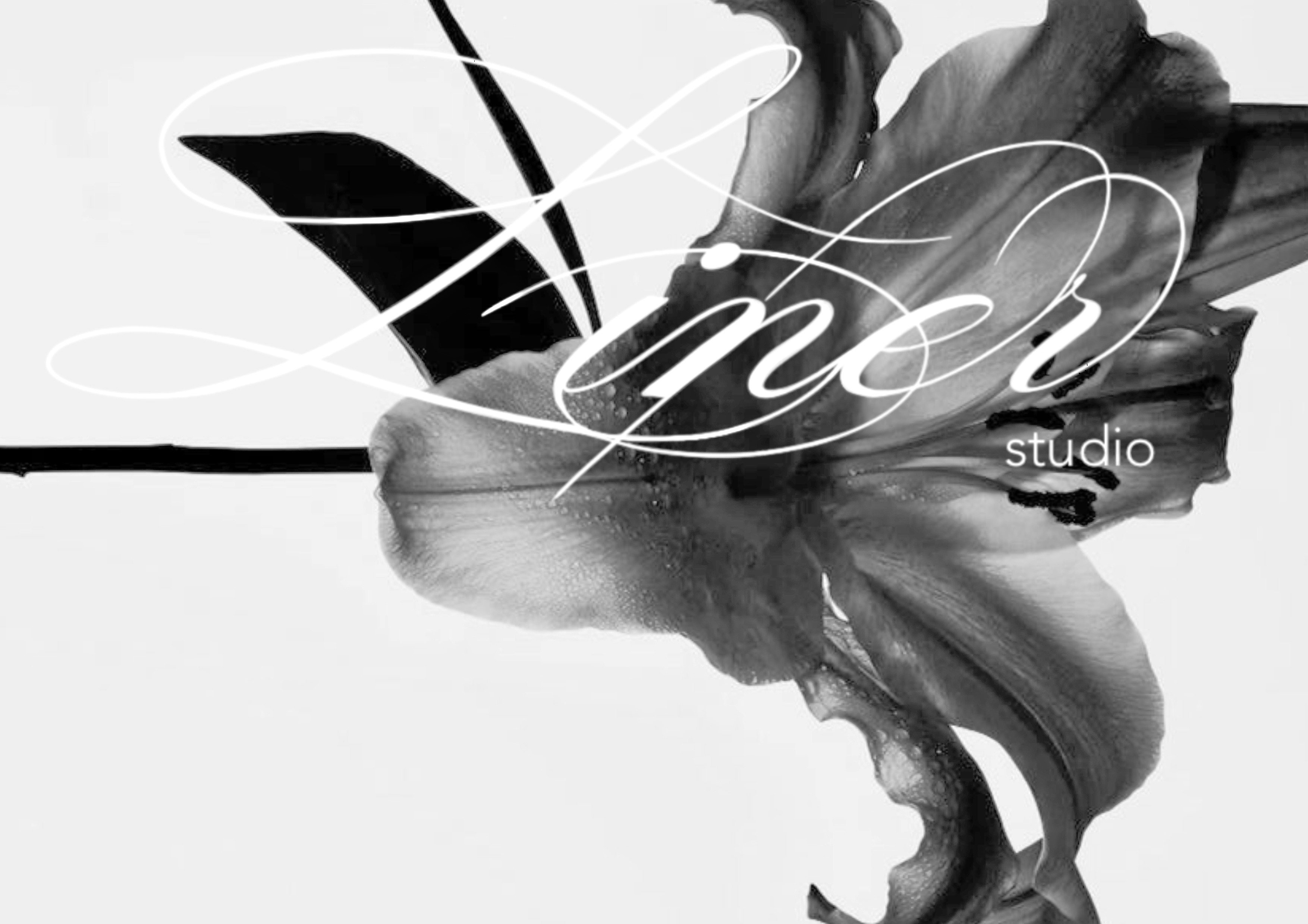 Liner Studio - Institut de beauté Toulon - OneBooking