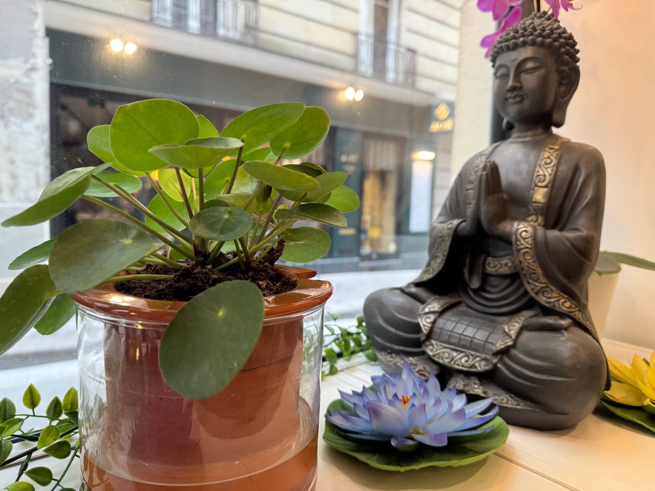 Tui Na SPA - Spa Paris - OneBooking