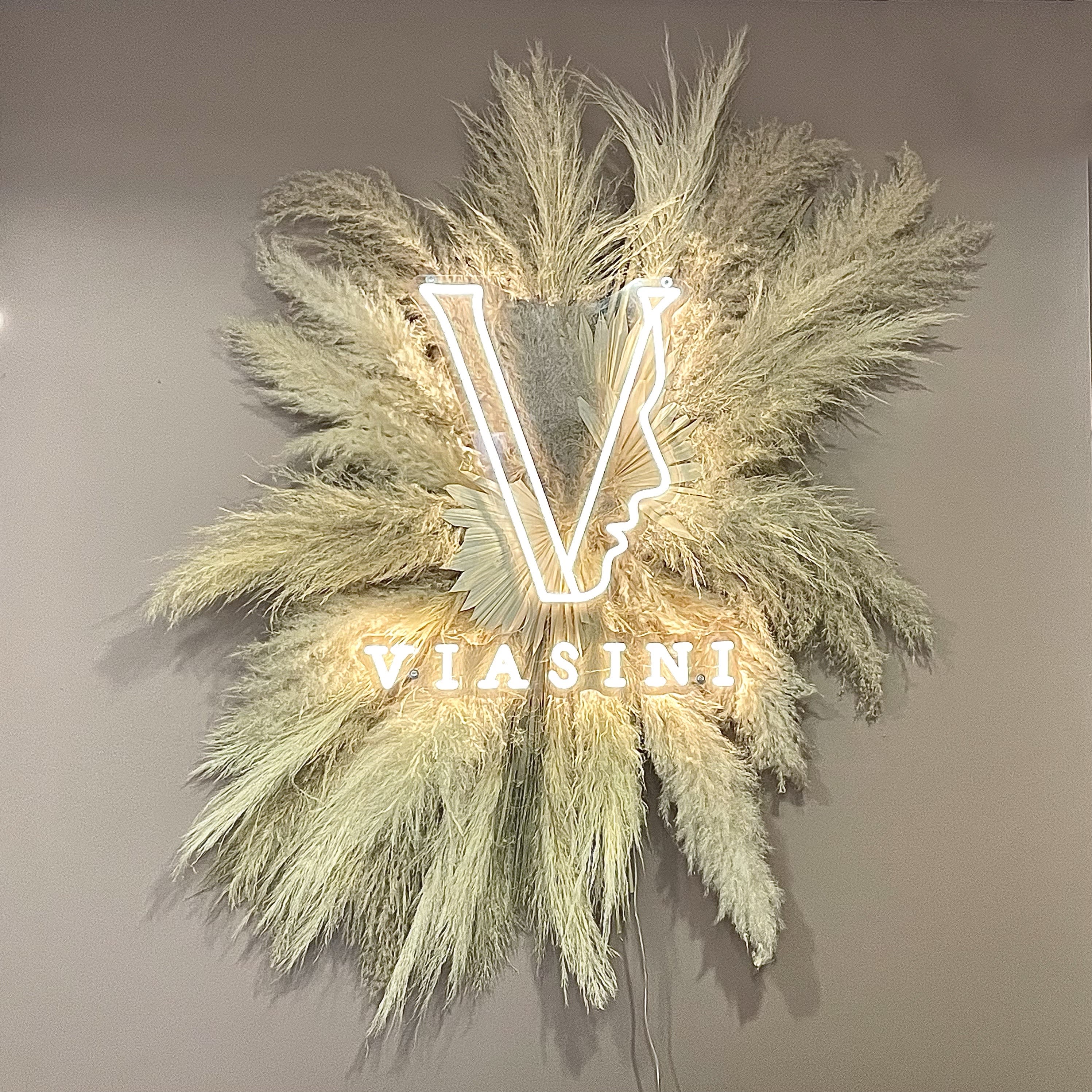 Viasini Institut
