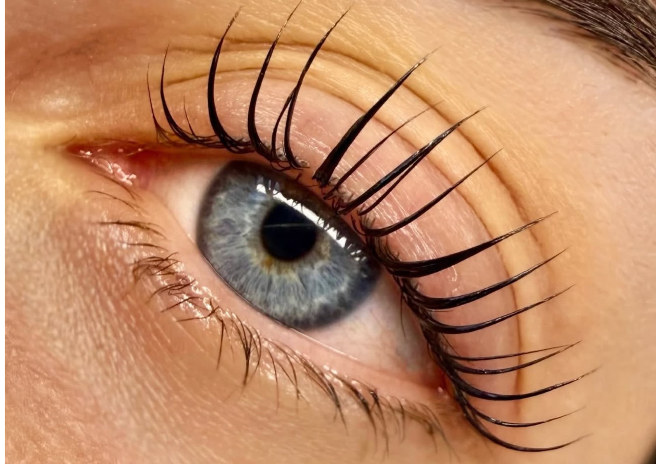 LASH ISLA
