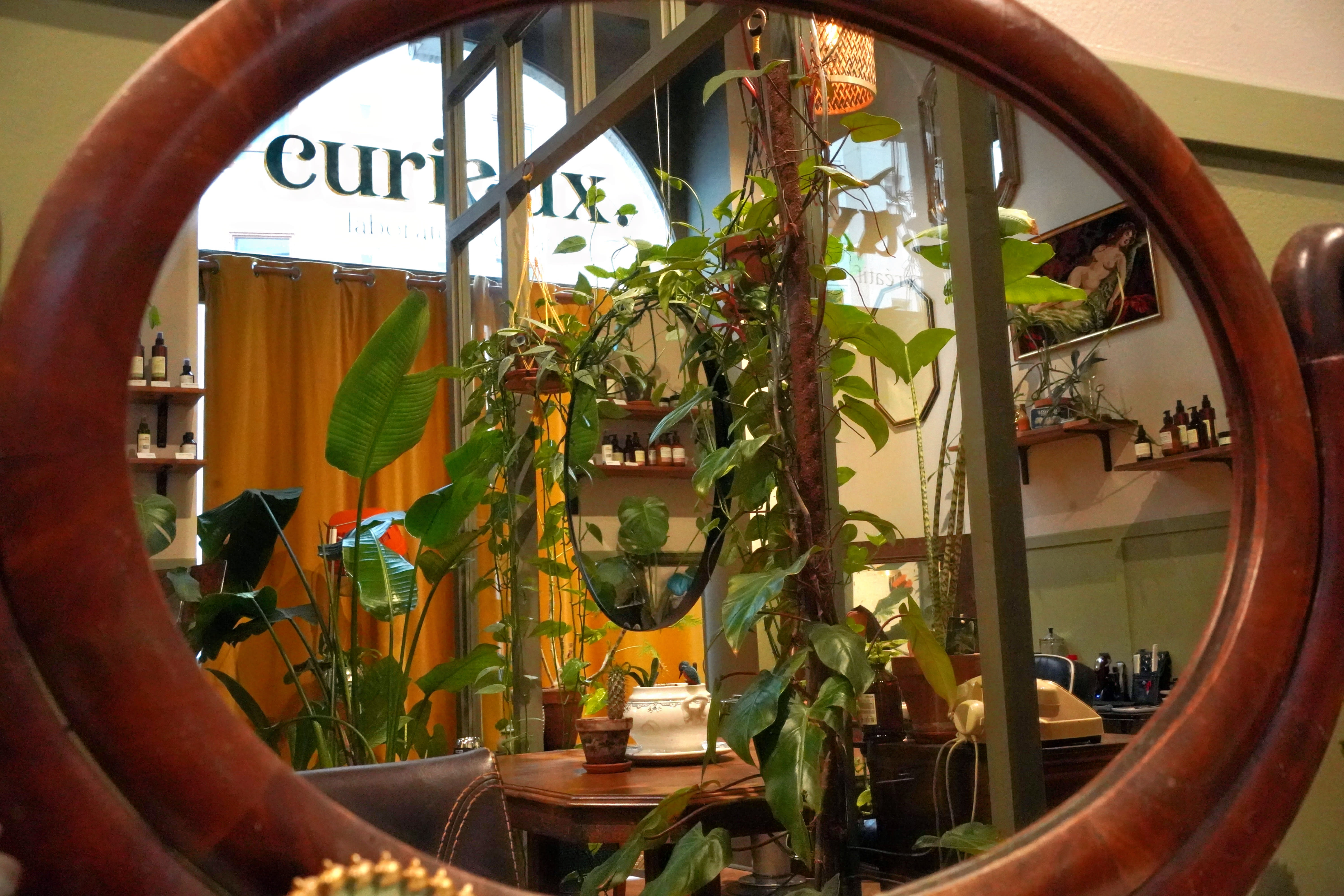 CURIEUX - Coiffure Nantes - CURIEUX - Photo Galerie - OneBooking