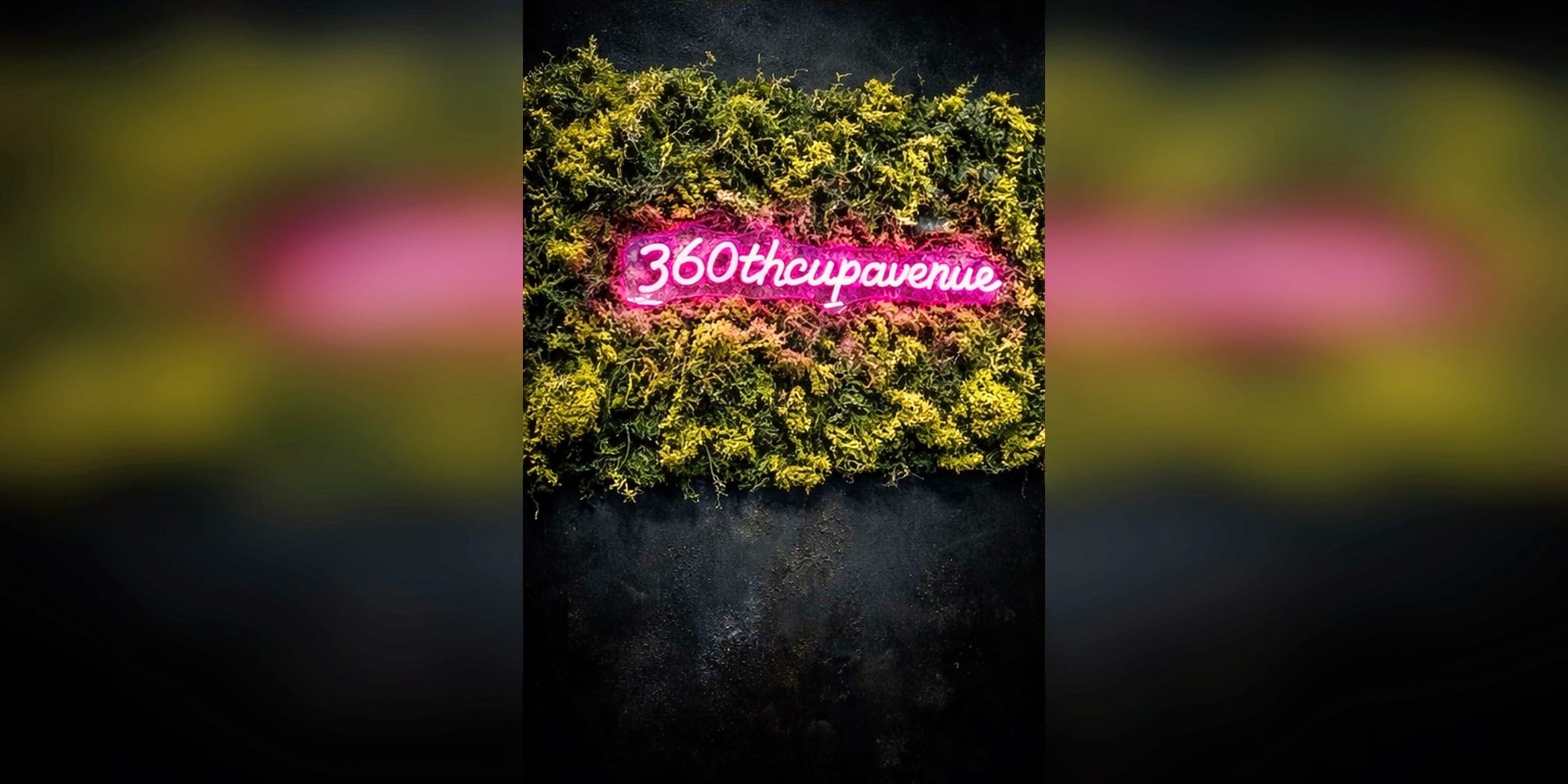 360th Cup Avenue - Coiffure Nantes - 360th Cup Avenue - Photo Galerie - OneBooking