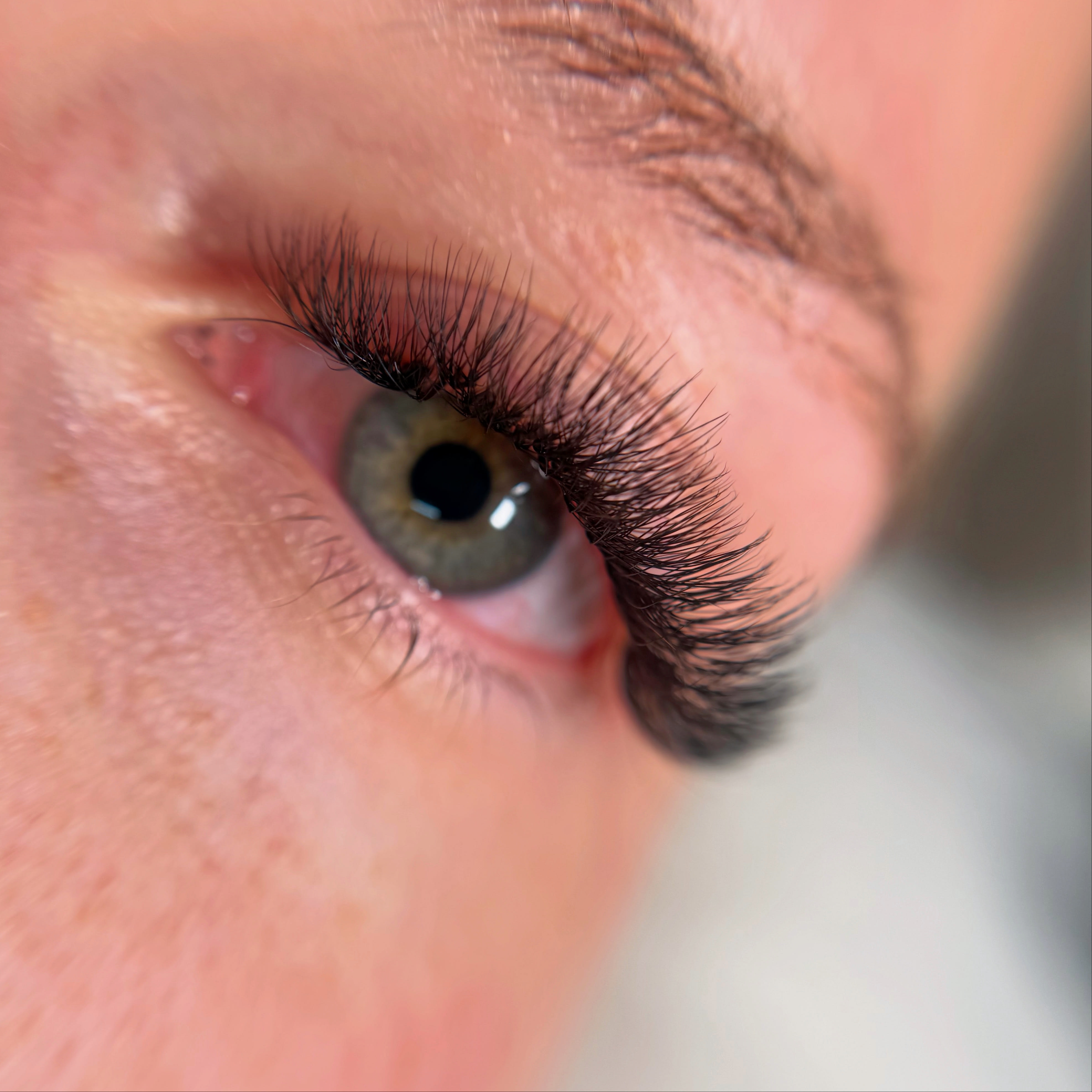 ad.nlashes